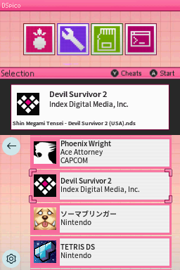 DS Classic Pink
